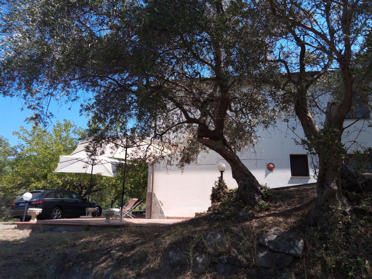 L'Antica Quercia B&B Castell'Umberto エクステリア 写真
