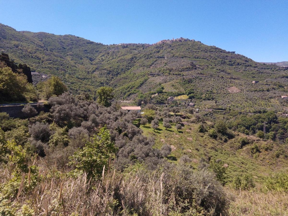 L'Antica Quercia B&B Castell'Umberto エクステリア 写真
