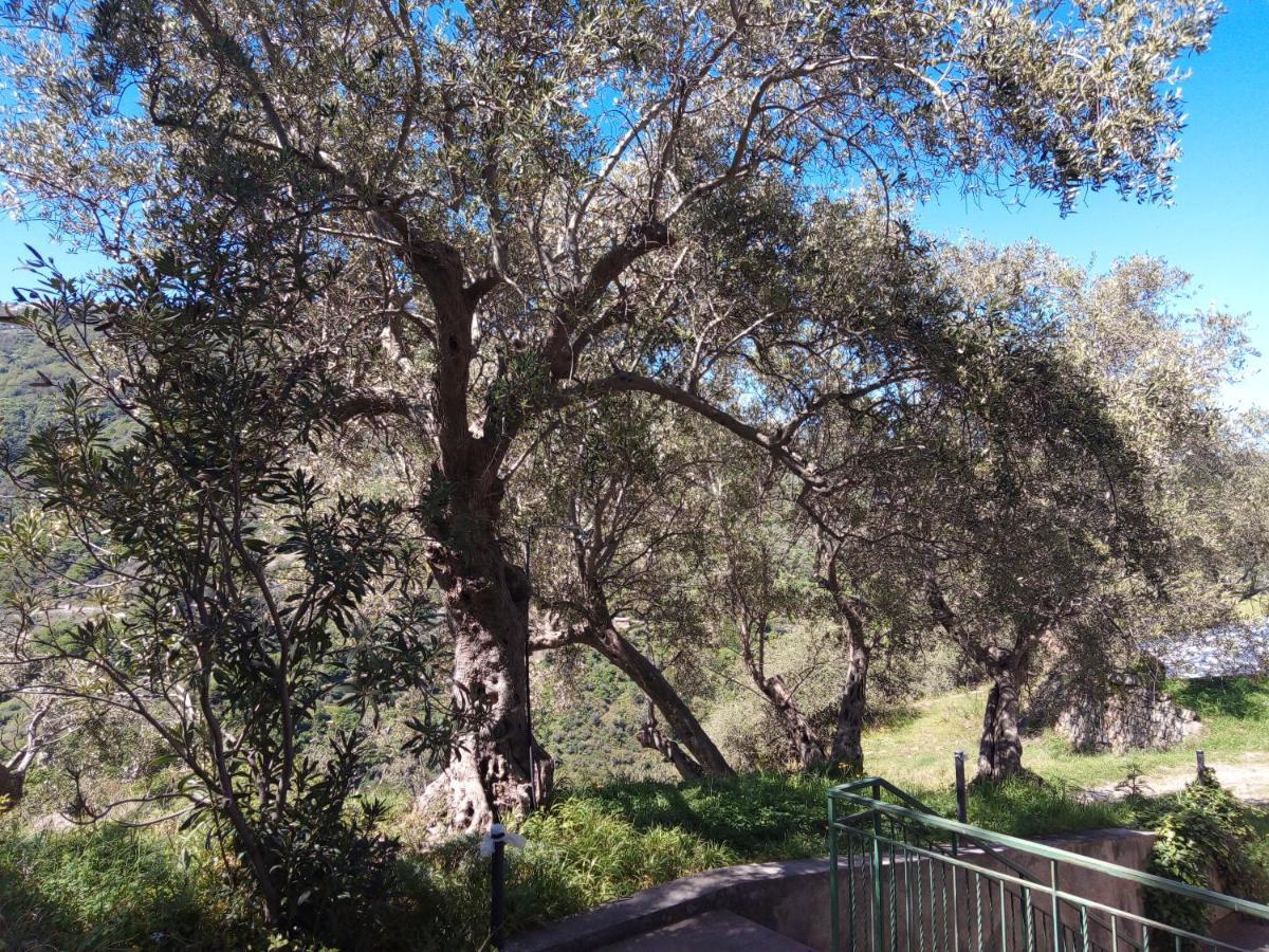L'Antica Quercia B&B Castell'Umberto エクステリア 写真