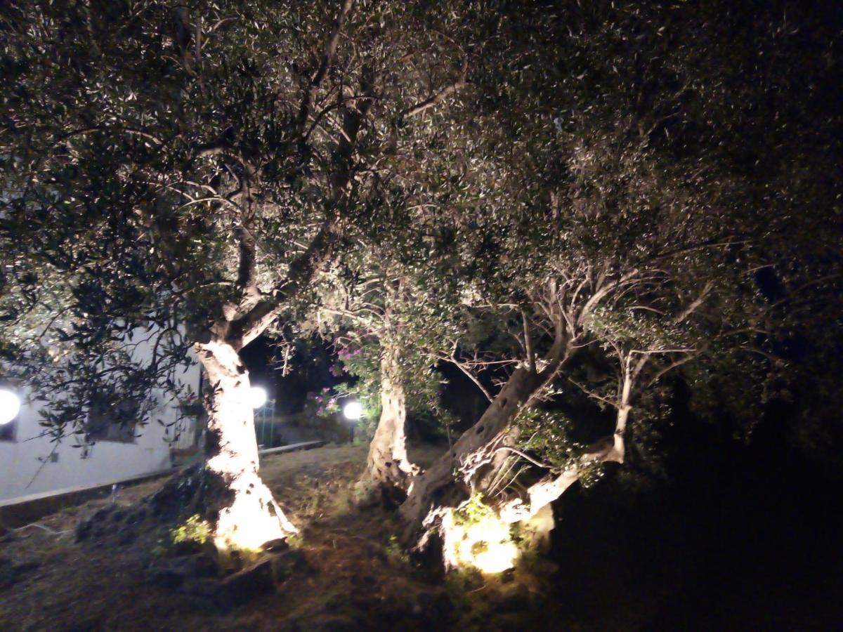 L'Antica Quercia B&B Castell'Umberto エクステリア 写真