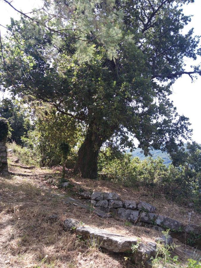L'Antica Quercia B&B Castell'Umberto エクステリア 写真