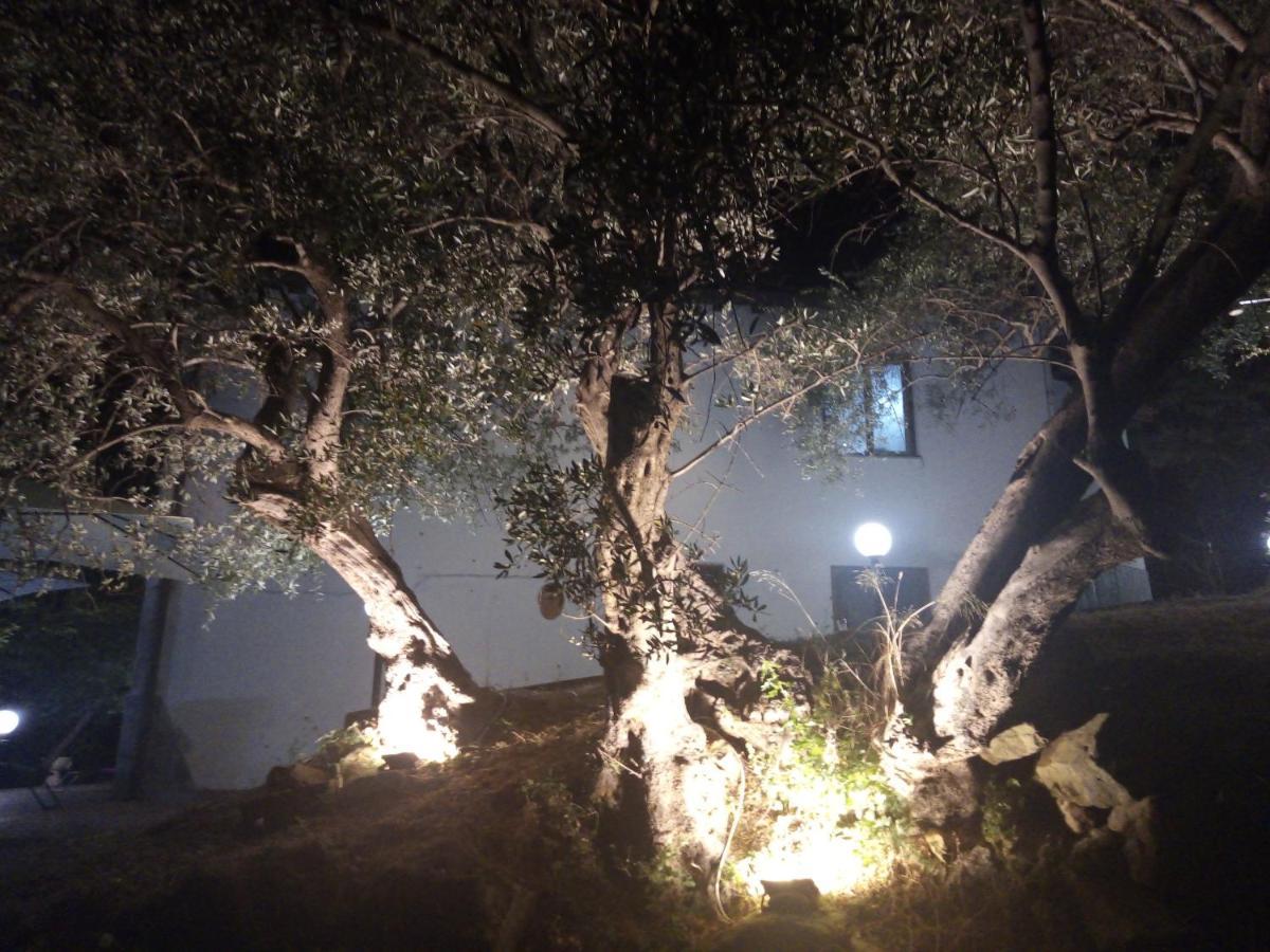 L'Antica Quercia B&B Castell'Umberto エクステリア 写真