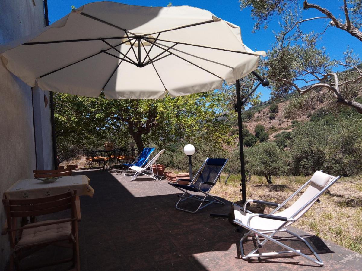 L'Antica Quercia B&B Castell'Umberto エクステリア 写真