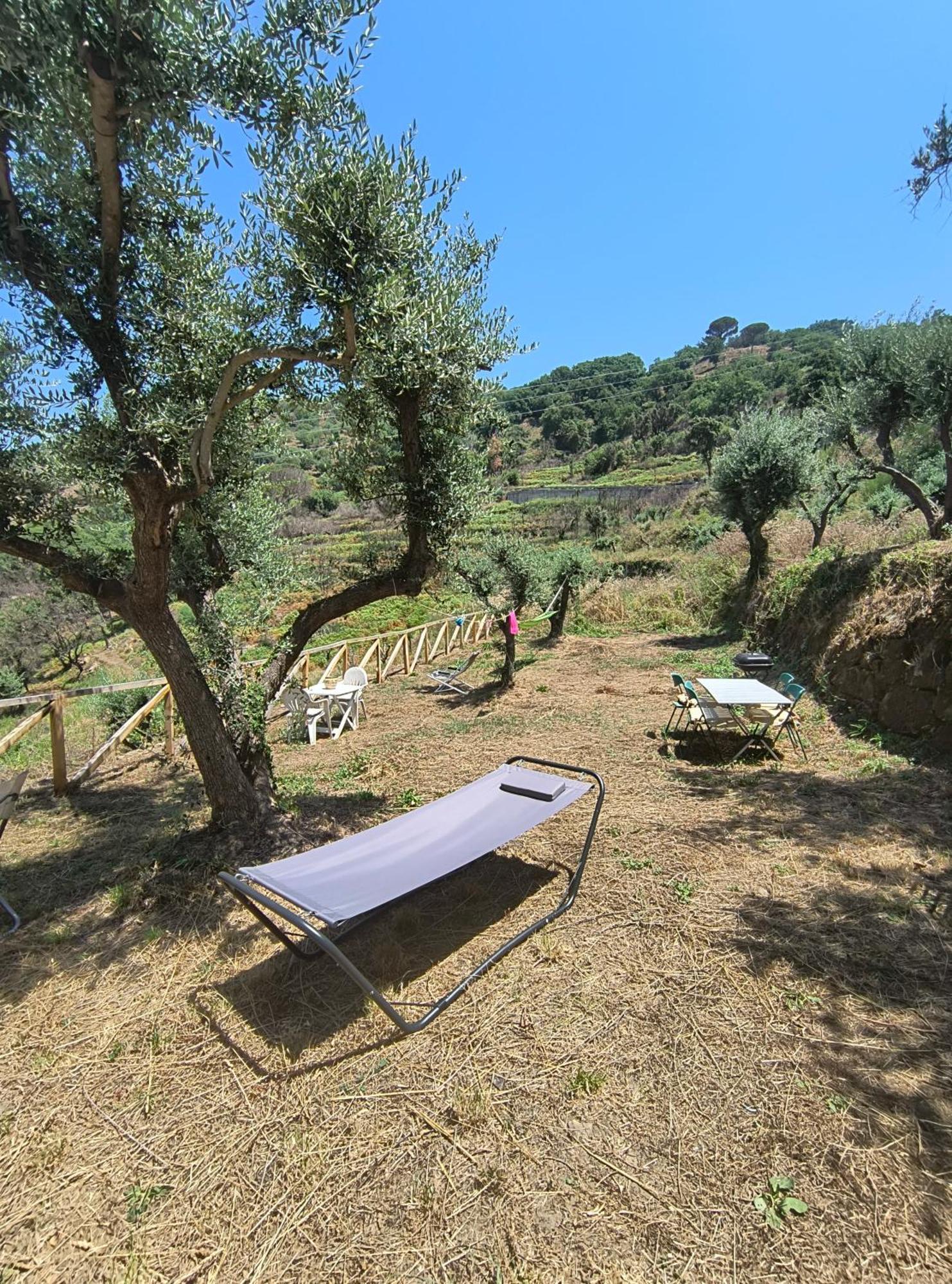 L'Antica Quercia B&B Castell'Umberto エクステリア 写真