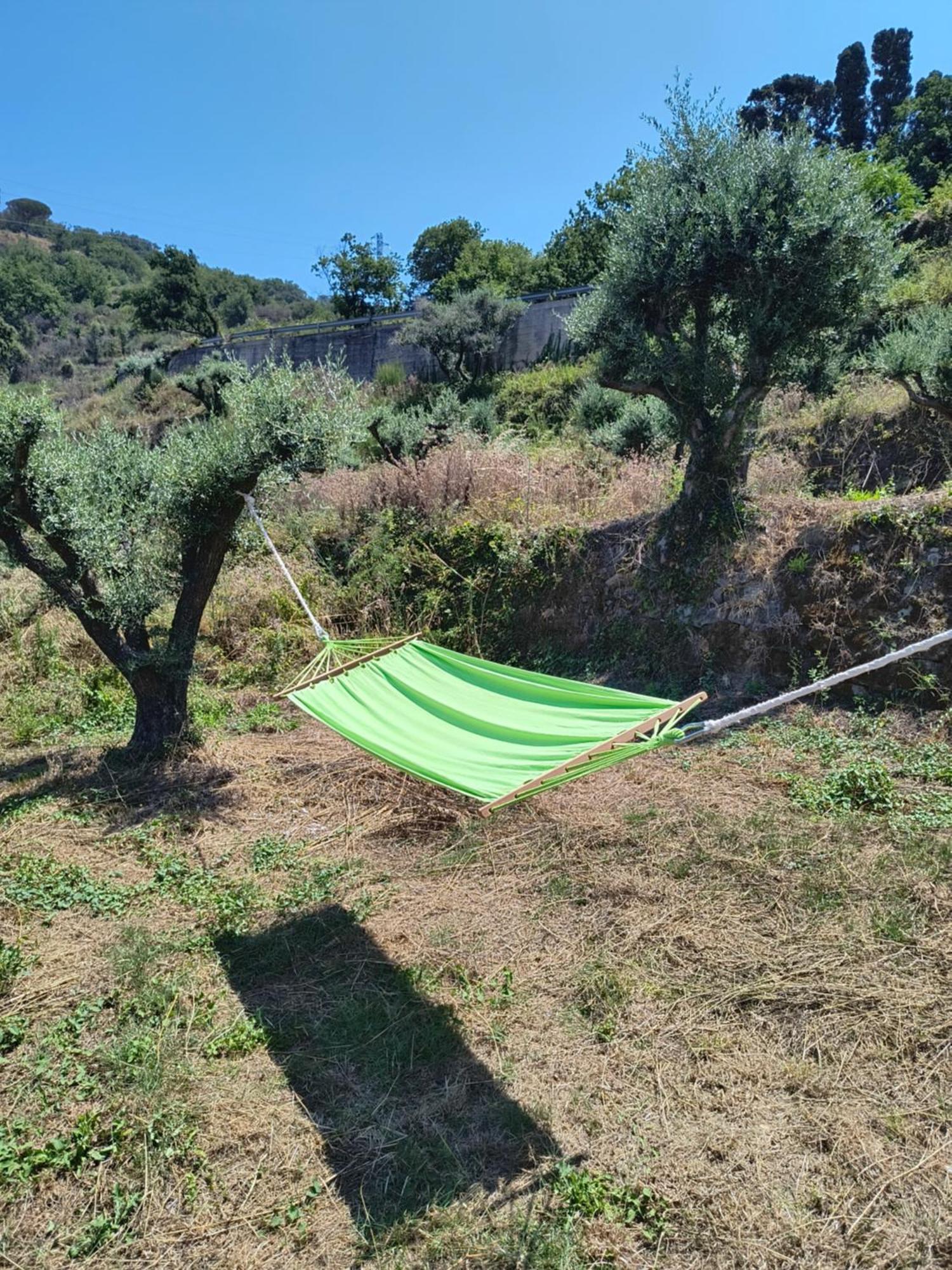 L'Antica Quercia B&B Castell'Umberto エクステリア 写真