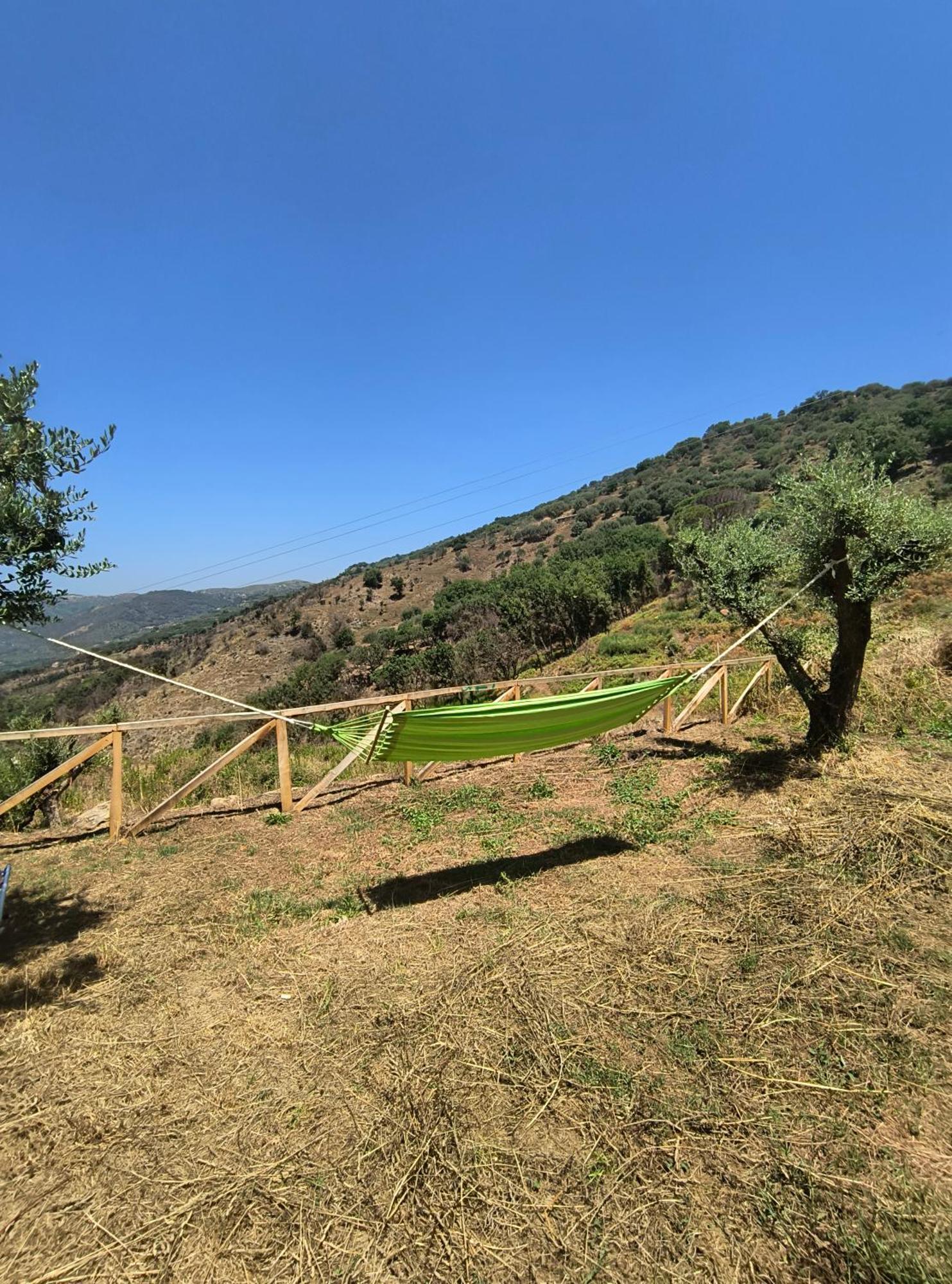 L'Antica Quercia B&B Castell'Umberto エクステリア 写真